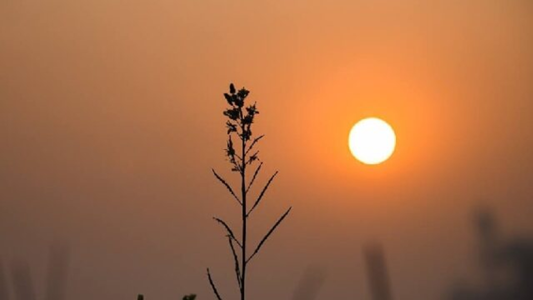 সূর্যের দেখা কবে মিলবে, জানাল আবহাওয়া অফিস